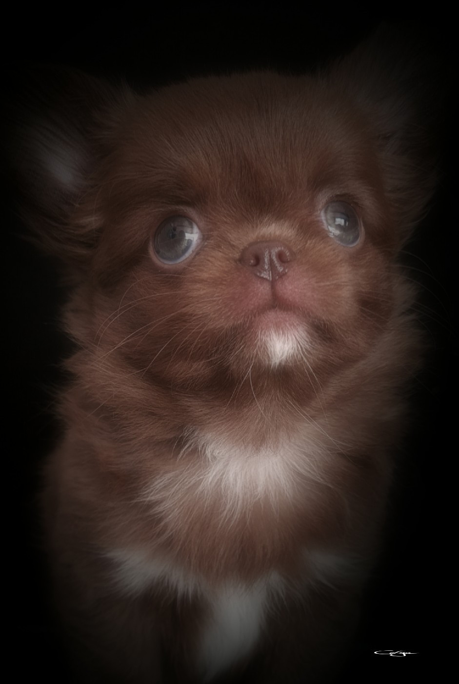 Alicia Girl On Fire Of Blue Moon's Diamond