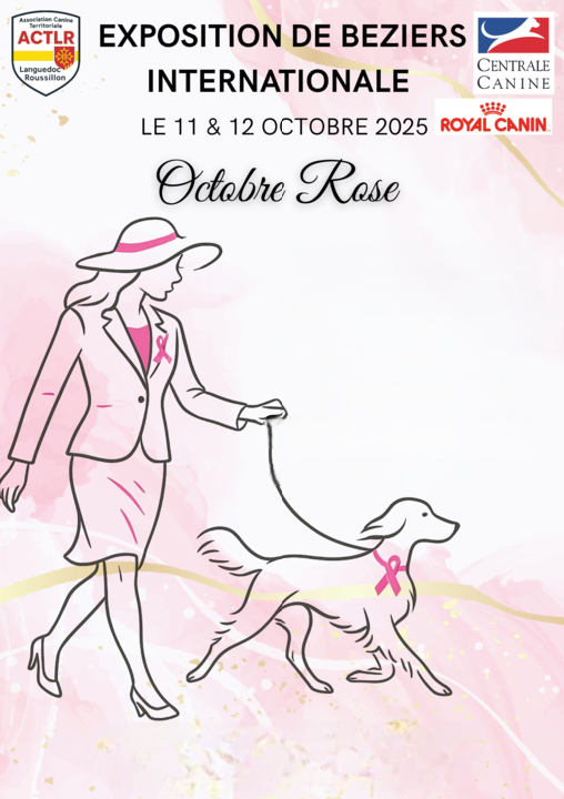 EXPOSITION INTERNATIONALE BEZIERS 11&12/10/25