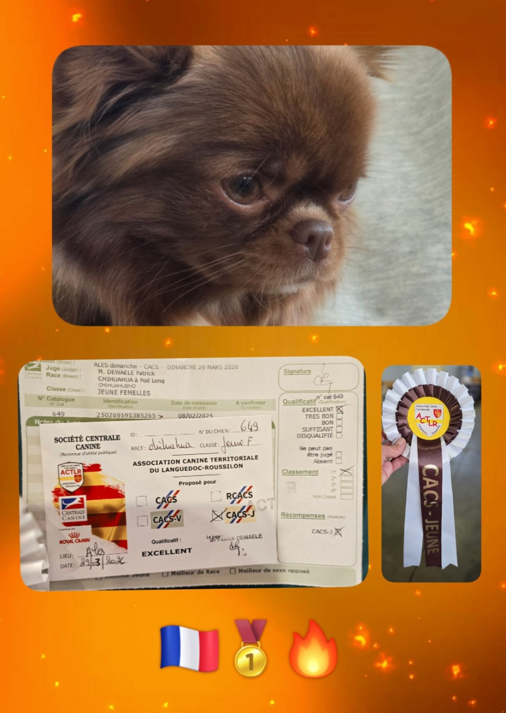 CEVENNES DOG SHOW ALÈS 29.03.26