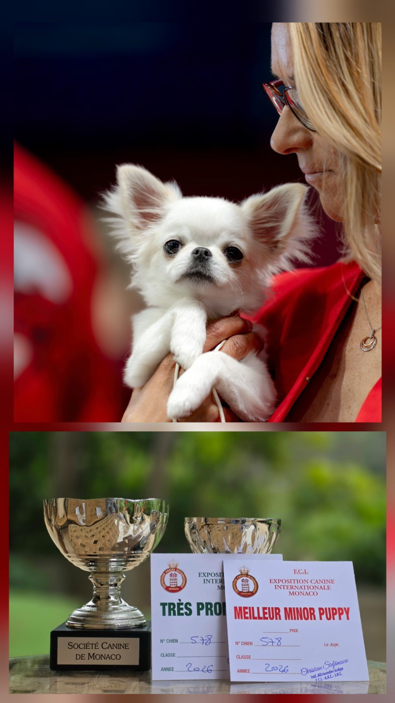 International Dog Show MONACO