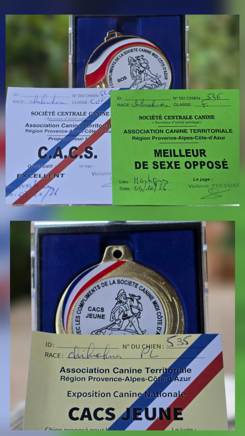 CACS MARTIGUES 03.10.26