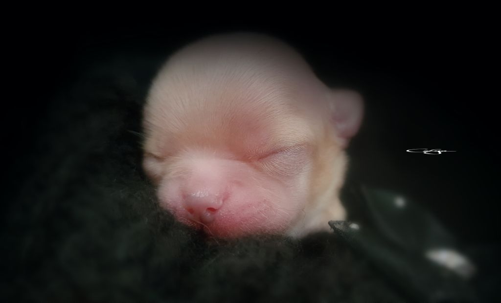 Un peu de mes bébés &#128522;